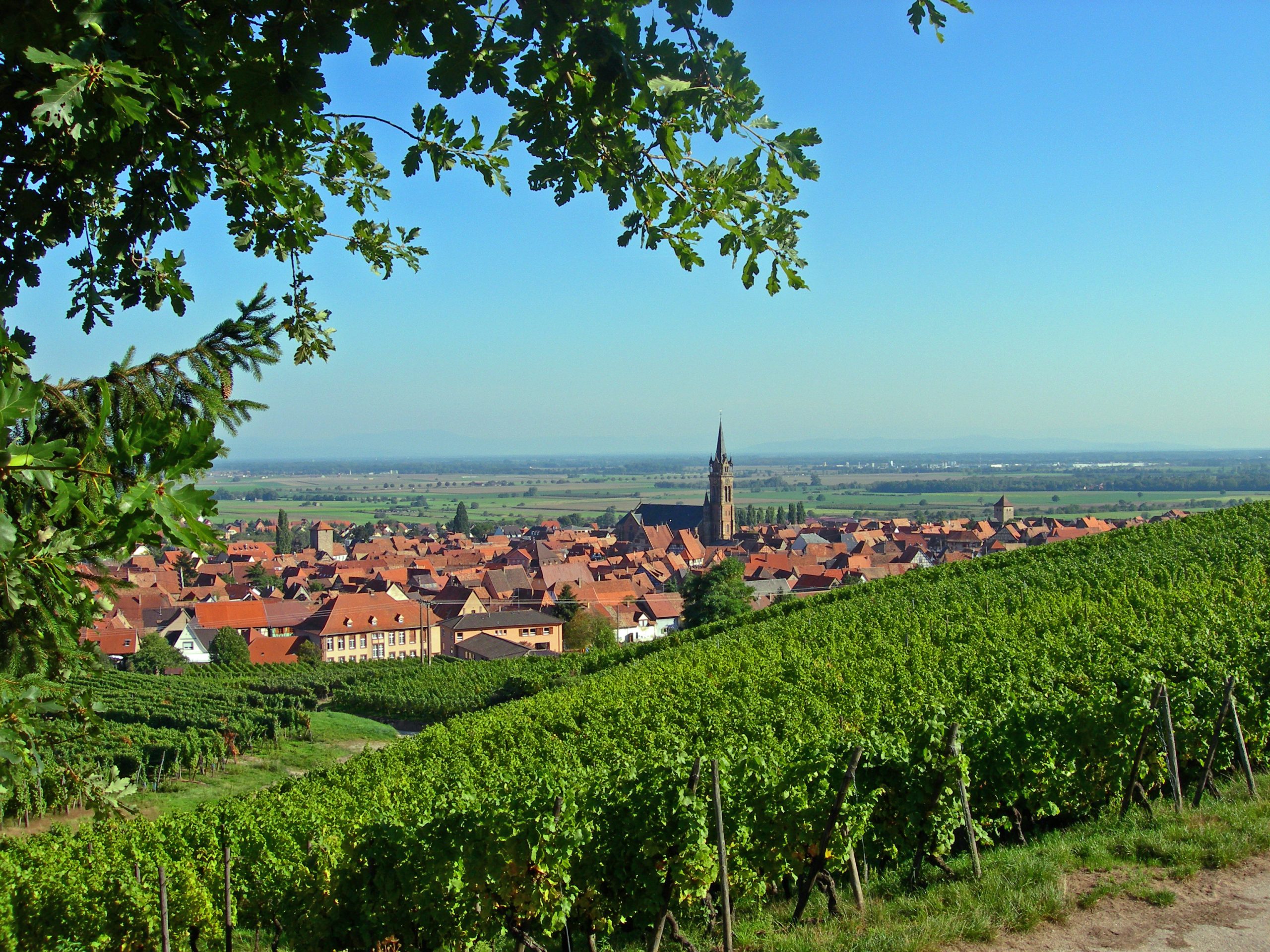 Alsace - The Beautiful Crossroad Of France And Germany