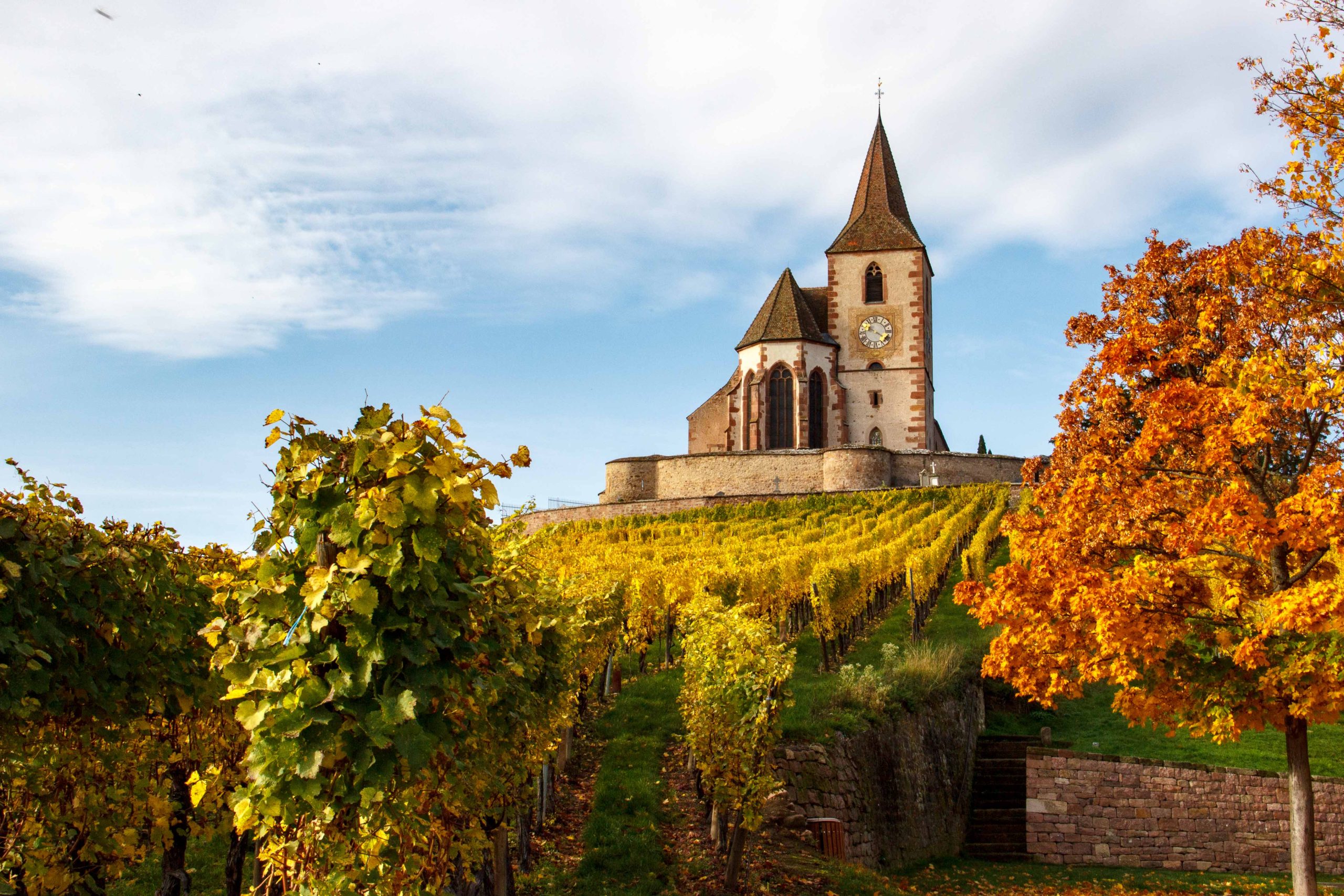 Sentier viticole des grands crus. Credit: Pamella RODRIGUES 2