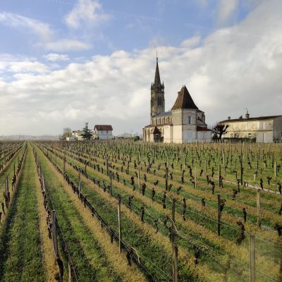 Bordeaux-Vineyard-scaled