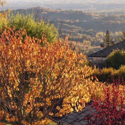 Piedmont