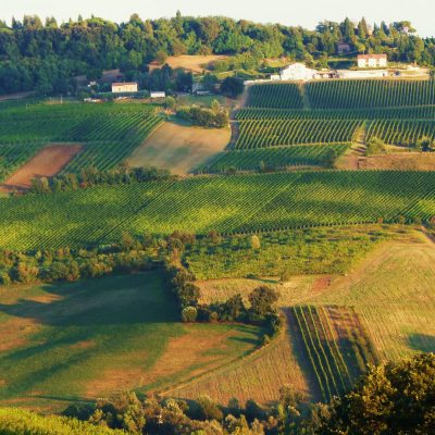 credit: Mariella Fornero