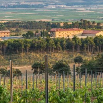 Hacienda El Ternero pano bodega RIJOA