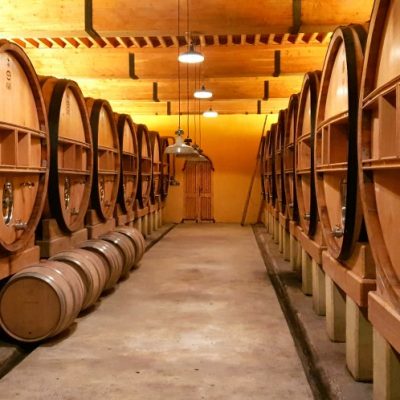 Rhone wine Cellar (1)