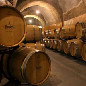 Photo by David Silverman/DPSimages Copyright © 2019 David Silverman. All Rights Reserved.