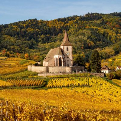 Sentier viticole des grands crus - ©Pamella RODRIGUES 12