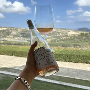crete-rose-wine-vineyard-view (2)