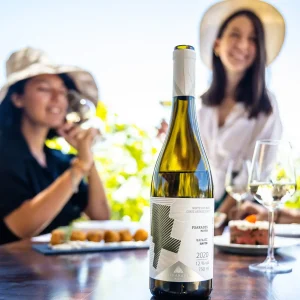 crete-white-wine-tasting-group