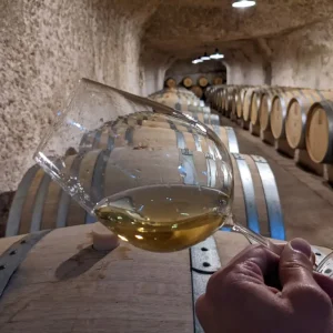 loire-valley-white-wine-cellar-tasting