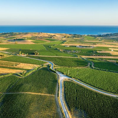 Aerial shot of the vineyards near Menfi in southwestern Sicily, Italy