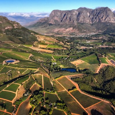 credit: David Silverman