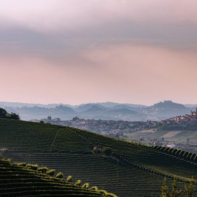 ‏‏le-langhe - עותק